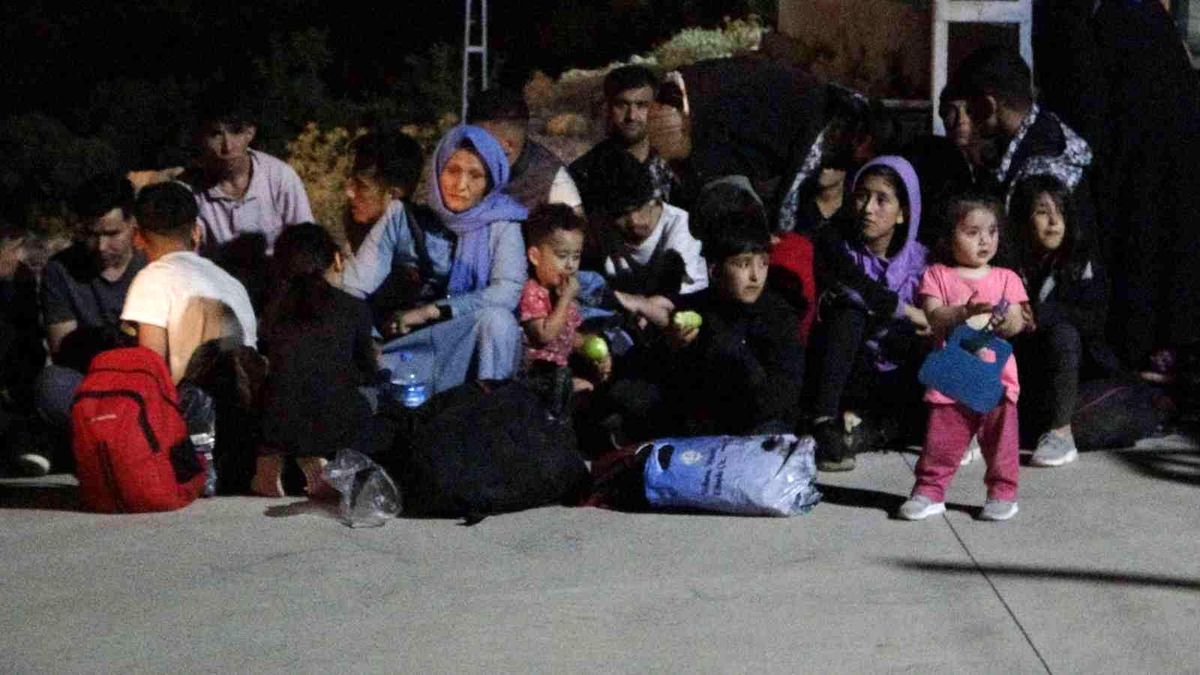 Muğla\'da çok sayıda düzensiz göçmen yakalandı