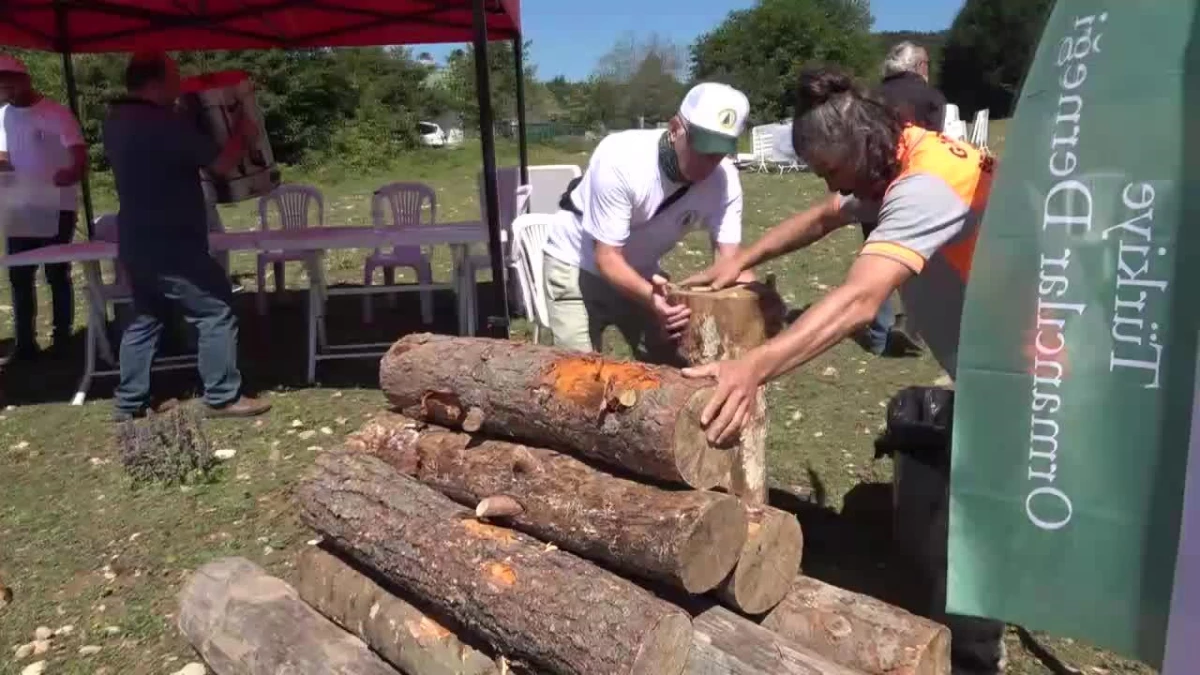 Orman Mühendisliği Öğrencileri "Orman Olimpiyatında" Tomrukları Kesip Taşıyarak Orman İşçilerinin Zor Koşullarını Öğrendi