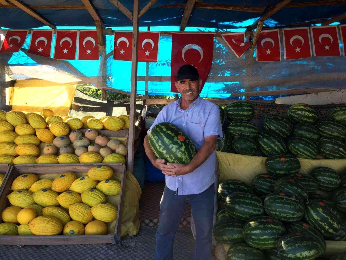 Osmaneli karpuzları artık ayırt edilebiliyor
