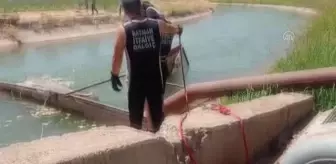 Batman'da sulama kanalına düşen keçisini kurtarmaya çalışan çoban akıntıya kapıldı