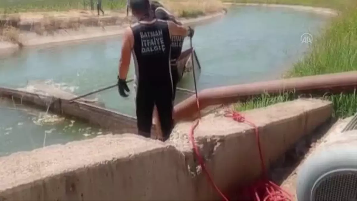 Batman'da sulama kanalına düşen keçisini kurtarmaya çalışan çoban akıntıya kapıldı