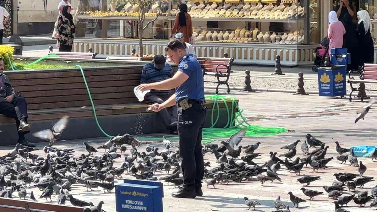 Sultanbeyli\'de yürekleri ısıtan görüntü: Polis memuru, güvercinleri her gün ekmek kırıntıları ile besliyor