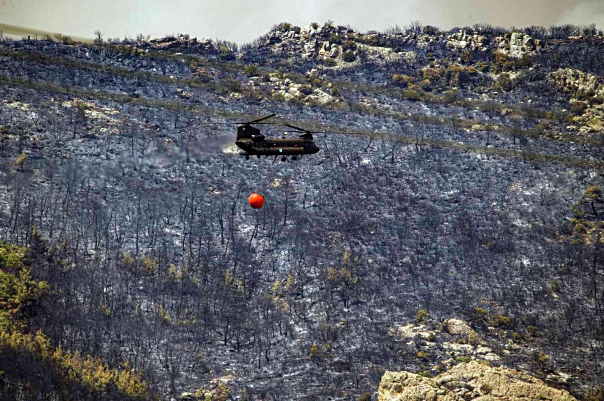Yunanistan\'daki orman yangını kontrol altına alınamıyor