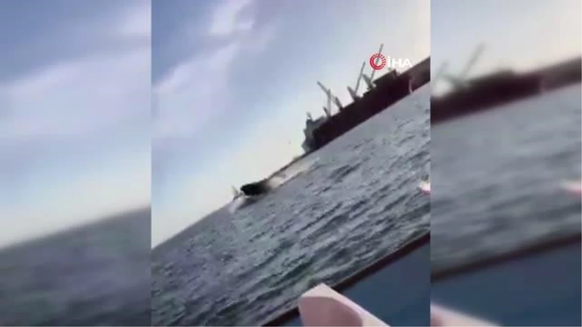 ABD\'de kambur balina tekneye çarptı