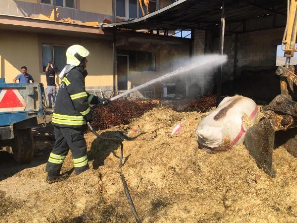 Alaşehir\'deki ahır yangınında 1 inek ve 10 koyun öldü