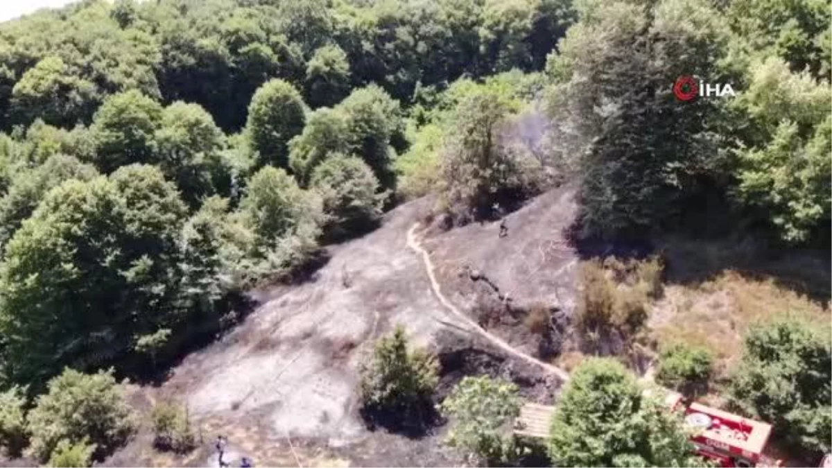 Beykoz Çavuşbaşı\'nda bulunan ormanlık alanda yangın çıktı.