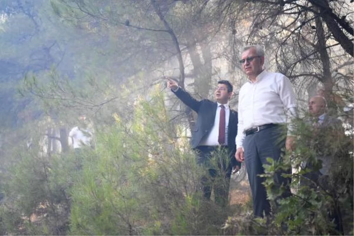 Edirne\'de çıkan orman yangını söndürüldü (2)