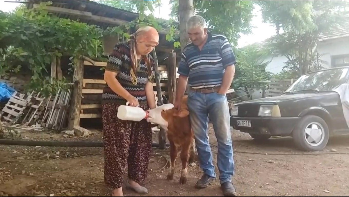 Egemen\'inin adeta gözleri oldular