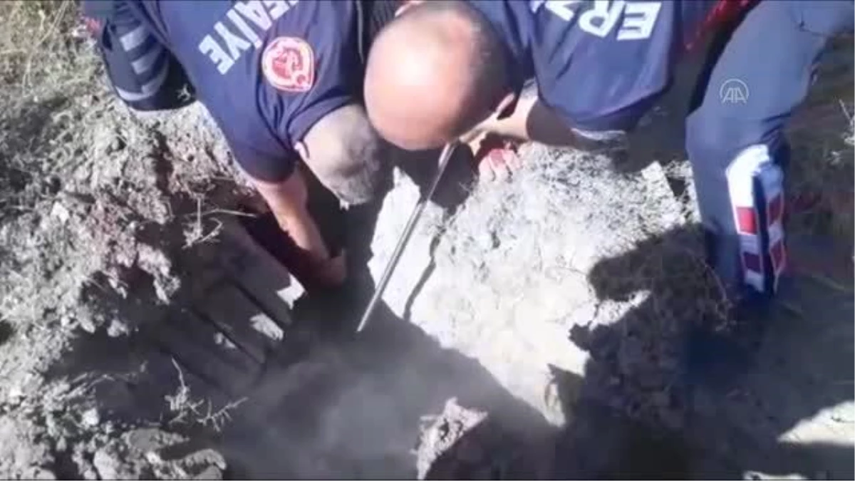Erzincan\'da mahsur kalan köpekler, itfaiye ekiplerince kurtarıldı