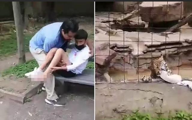 Fotoğraf çekmek jaguar kafesine atlayan çocuğun ayağı parçalandı Fotoğraf çekmek jaguar kafesine atlayan çocuğun ayağı parçalandı