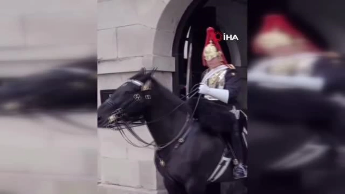İngiltere\'de atlı muhafız fotoğraf çektirmek isteyen kadına bağırdı