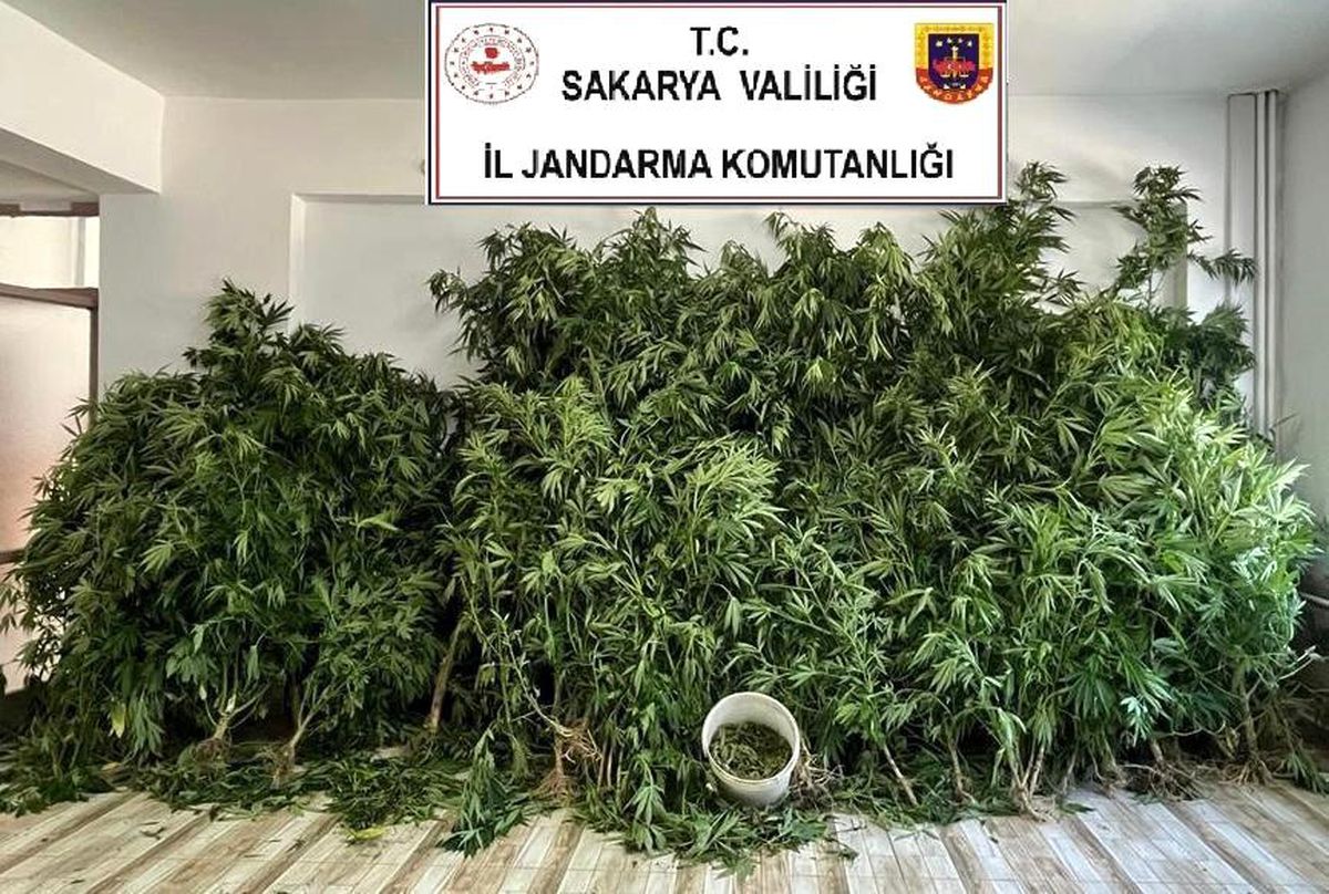 Jandarmadan 2 ilçede uyuşturucu operasyonu: 3 gözaltı