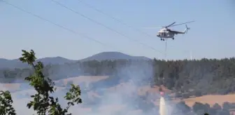 Tarım arazisinde çıkan yangın makiye sıçradı, alevler gölete gelince durdu