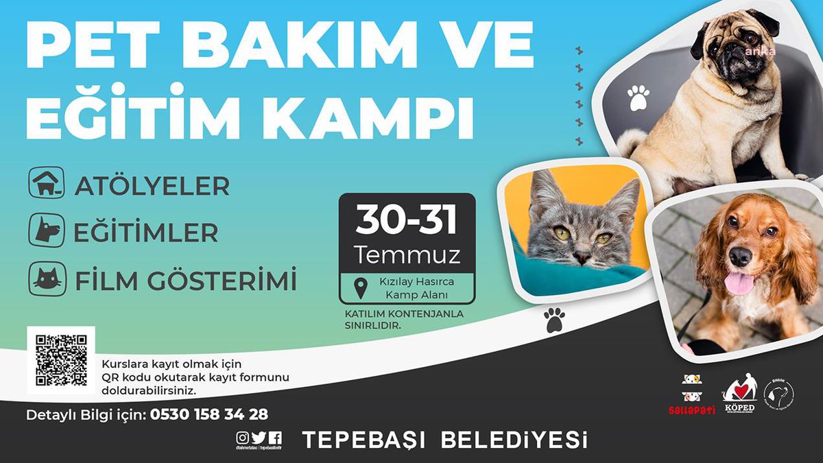 Tepebaşı\'nda Pet Eğitimi ve Bakım Kampı