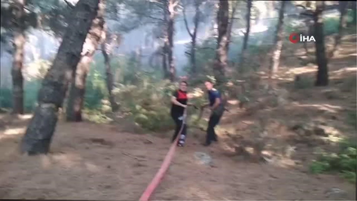 Vali Kırbıyık, Keşan\'daki orman yangını bölgesinde incelemede bulundu