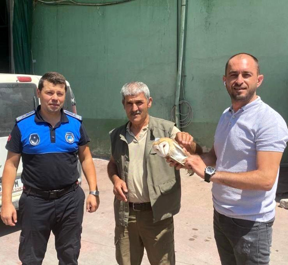 Yaralı halde bulunan peçeli baykuş tedavi altına alındı