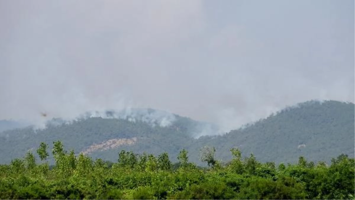 Yunanistan\'daki orman yangını, Türkiye\'den endişe ile izleniyor