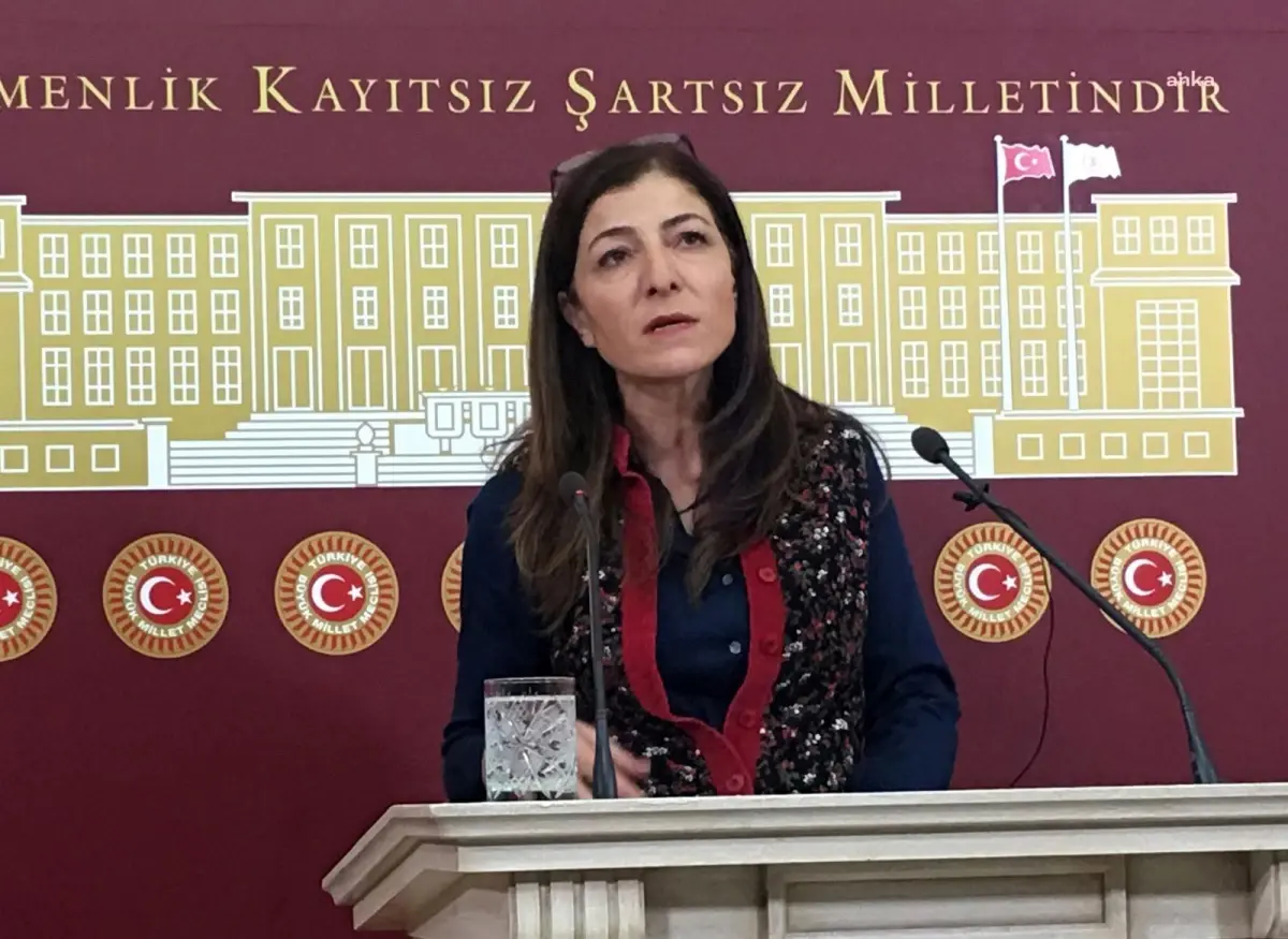 Züleyha Gülüm, Elinde Kılıç Masasında Silahla Poz Veren Dernek Başkanı\'nın "İlerde Kullanmak İçin 15 Temmuz\'da Bana Hediye Ettiler" Sözlerini...