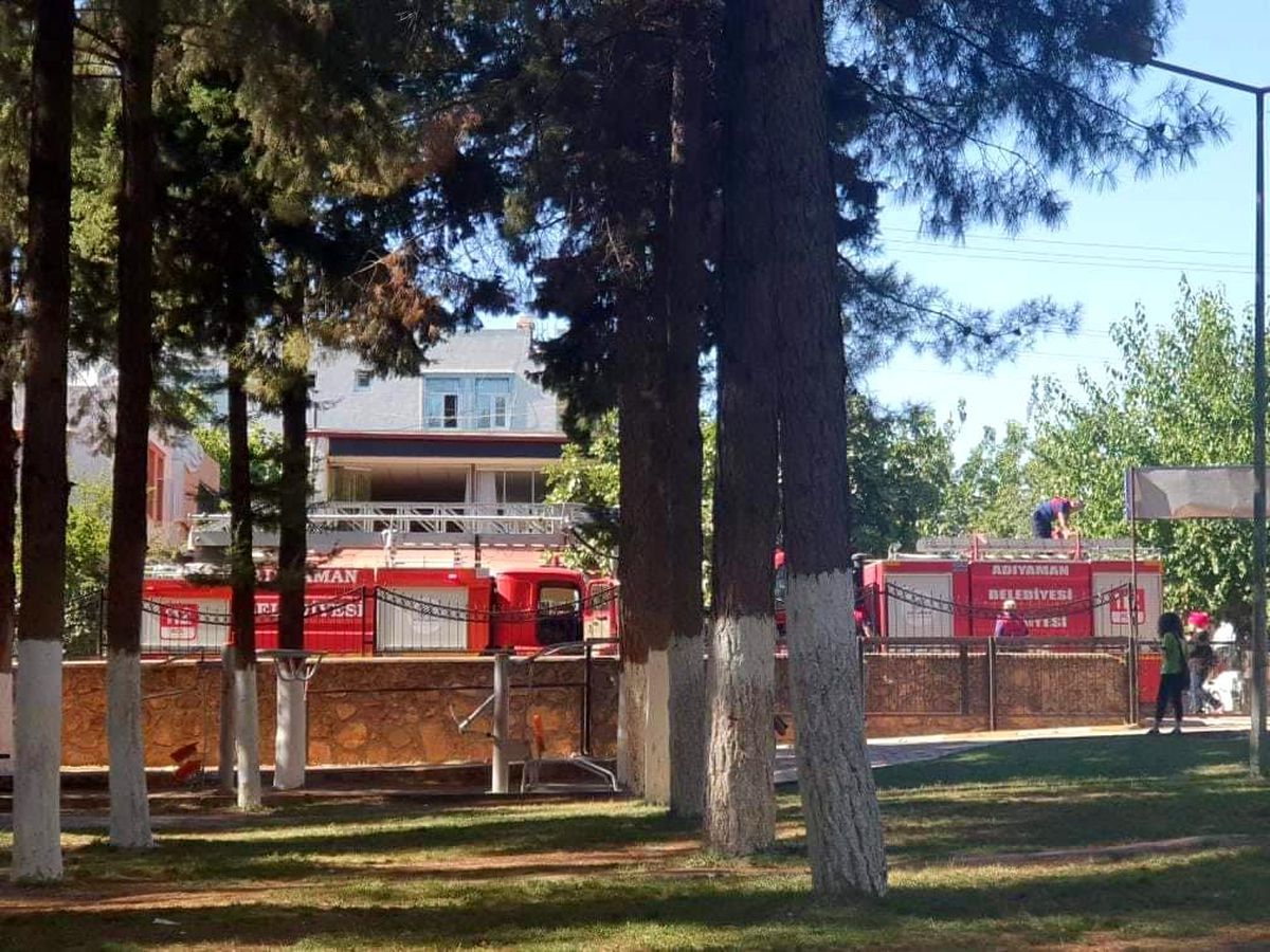 Ağaçta mahsur kalan kedi itfaiye ekiplerince kurtarıldı