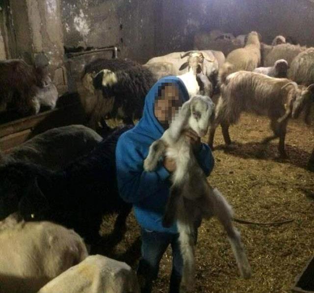 Ağılda çıkan yangında 12 yaşındaki çocuk yanarak öldü