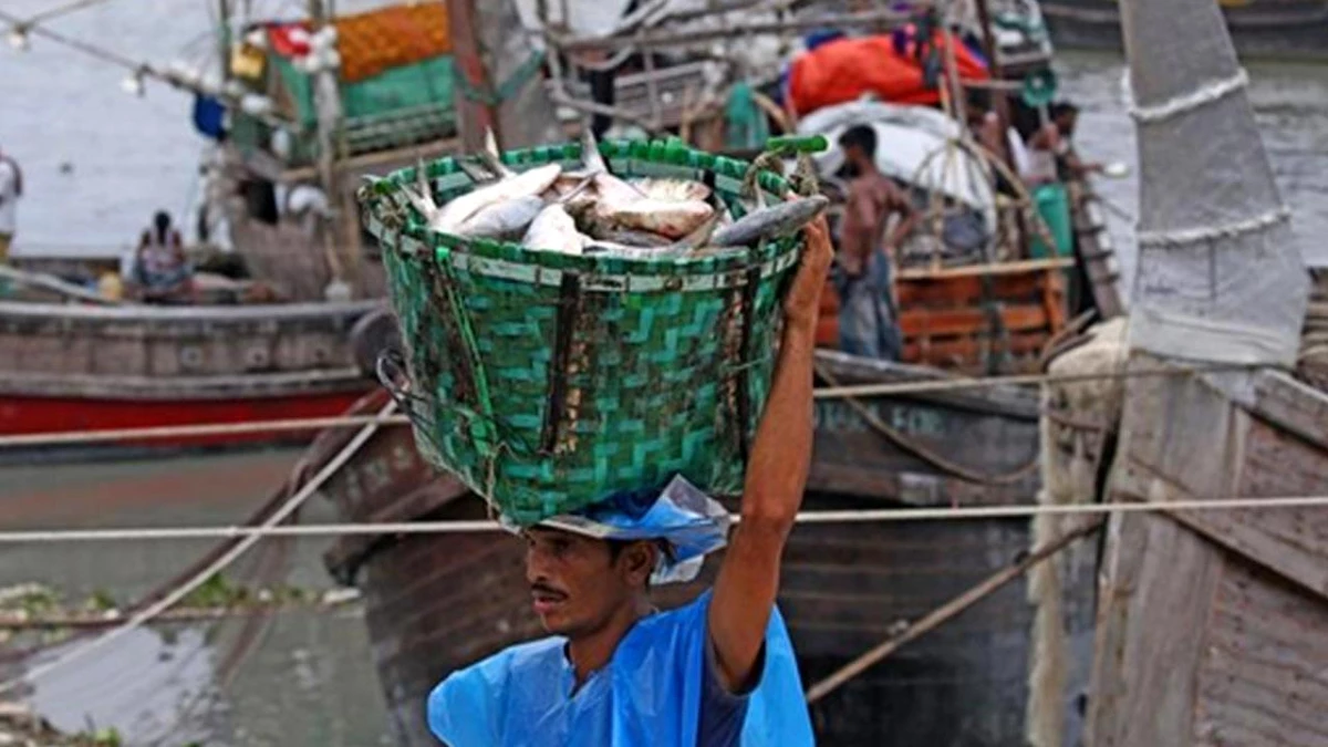 Bangladeş\'te Balıkçılık Sezonu Bereketli Başladı
