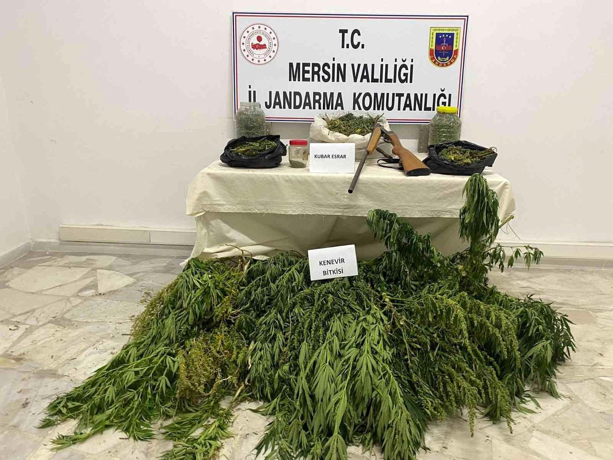 Çadıra uyuşturucu operasyonu