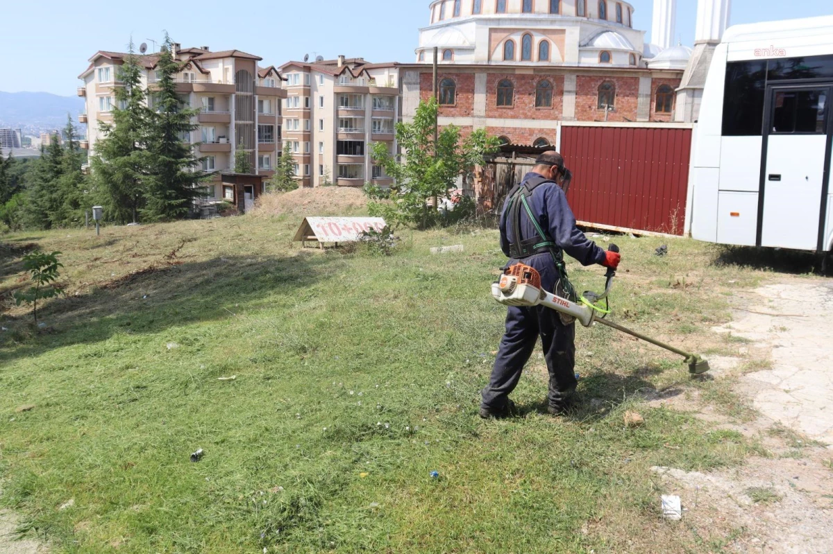 İzmit Belediyesi Ekipleri, Alikahya\'da Tırpan Çalışması Yaptı