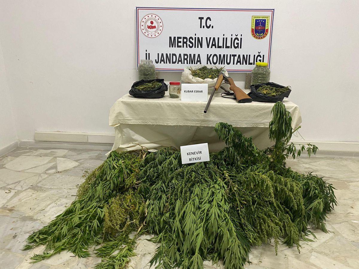 Mersin\'de hayvan çadırında Hint keneviri yetiştirdiği iddia edilen zanlı tutuklandı