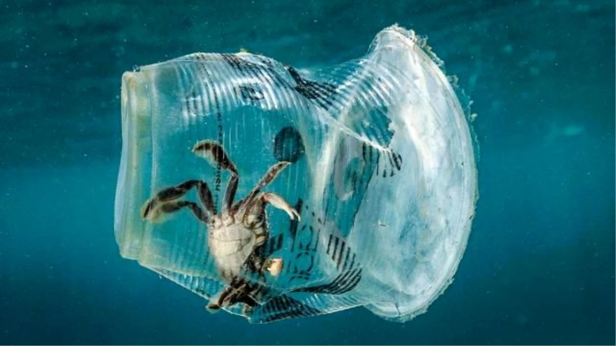 Okyanustaki plastik miktarı belli oldu!