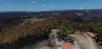 Portekiz'de orman yangınları