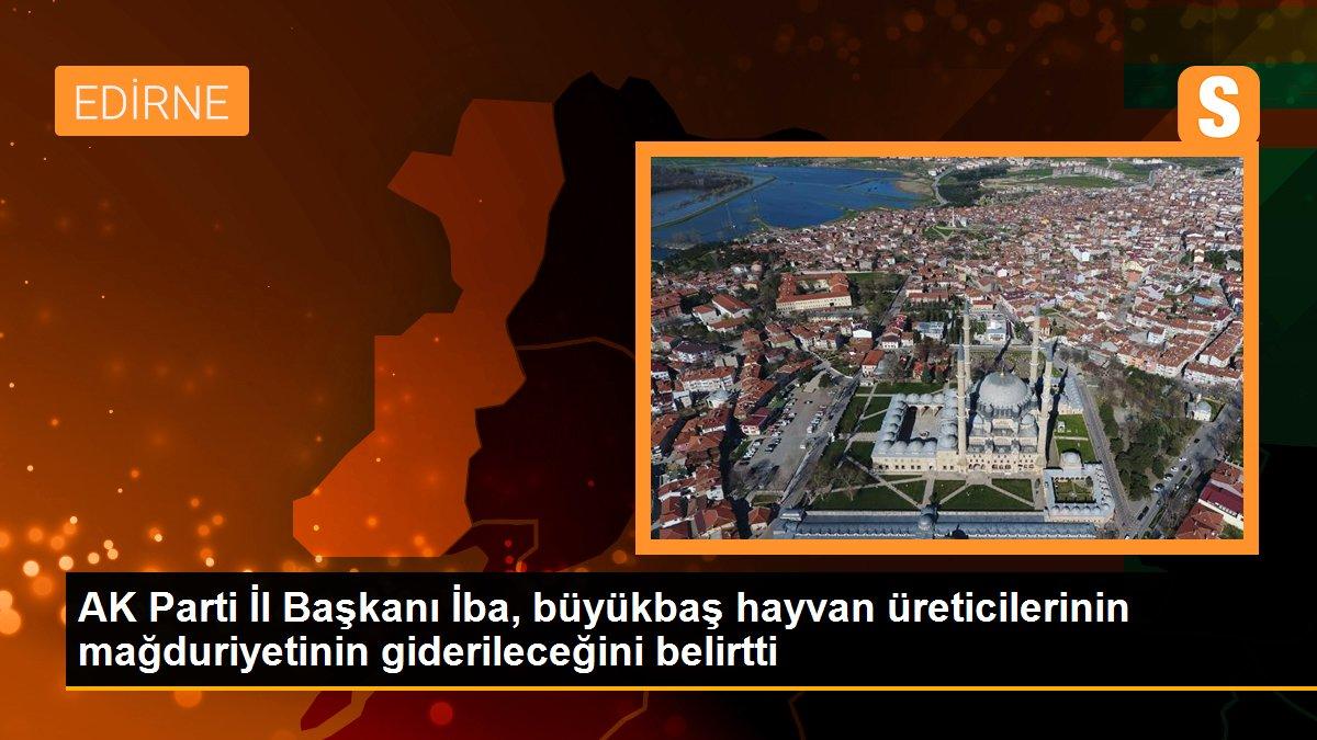 AK Parti İl Başkanı İba, büyükbaş hayvan üreticilerinin mağduriyetinin giderileceğini belirtti