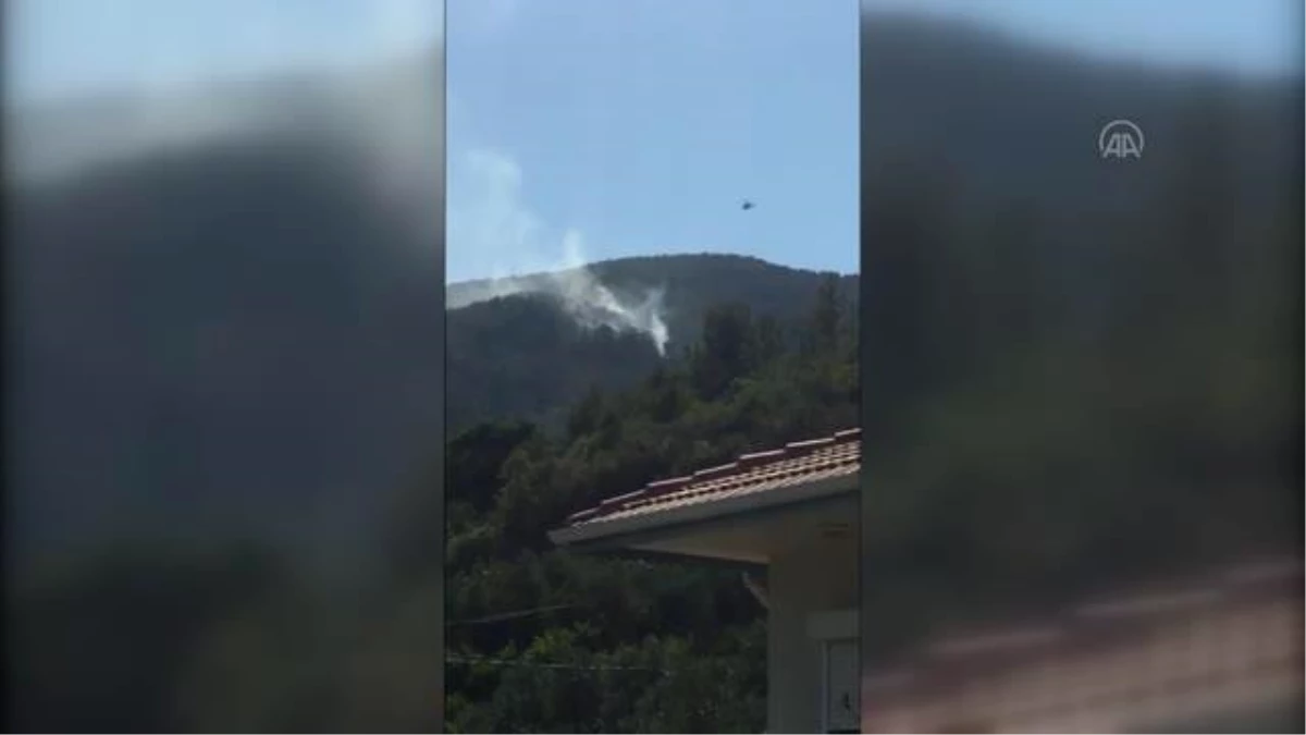 Antalya\'da çıkan orman yangınına müdahale ediliyor