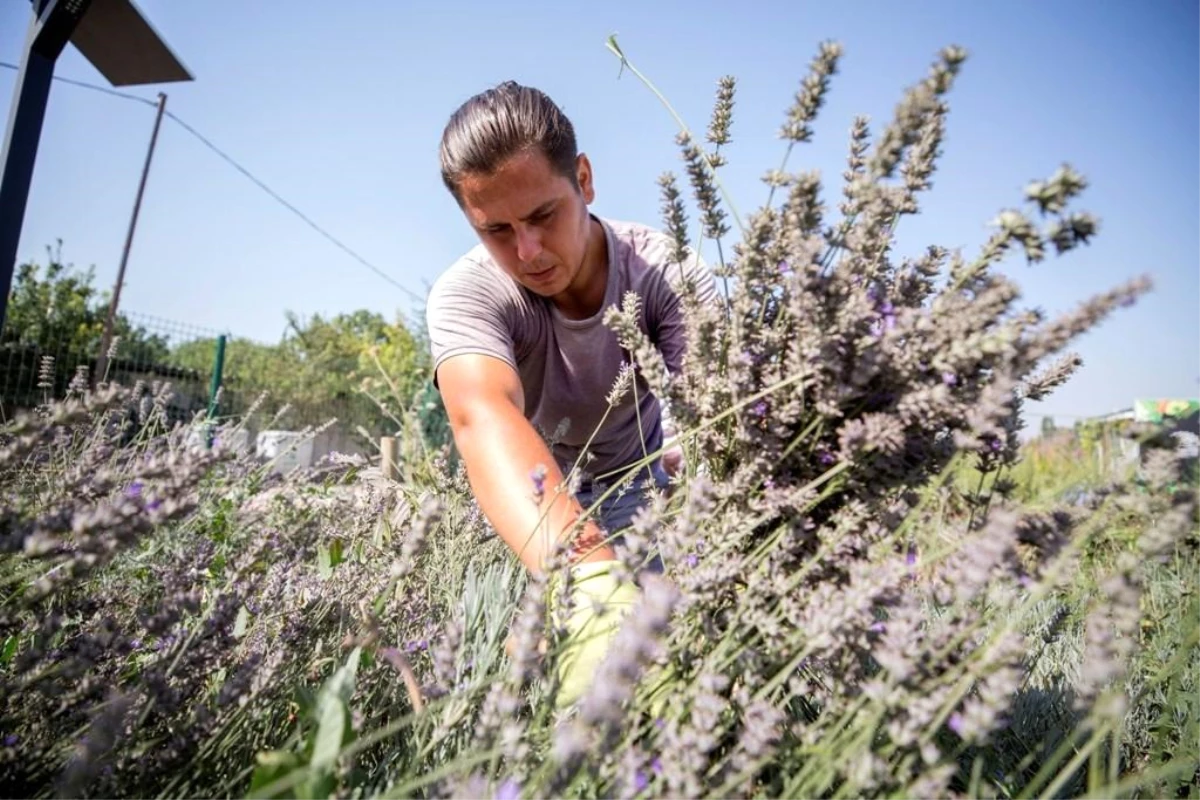 Nilüfer Belediyesi\'nin Bitki İşleme Tesisi Projesi Hibe Almaya Hak Kazandı
