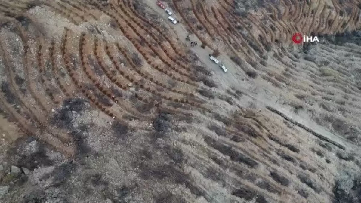 Orman yangını günlerce sürmüş, 7 kişi can vermişti... Manavgat 4-5 yıl içinde yeşil görünümüne kavuşacak