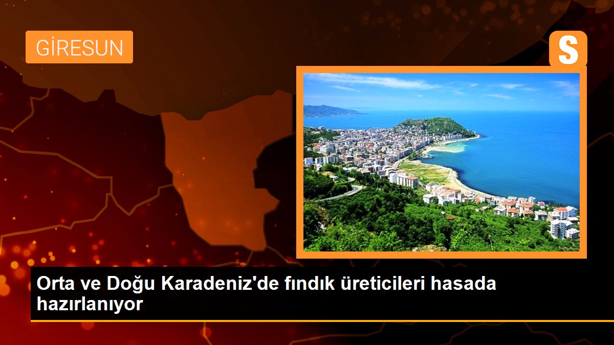 Orta ve Doğu Karadeniz\'de fındık üreticileri hasada hazırlanıyor