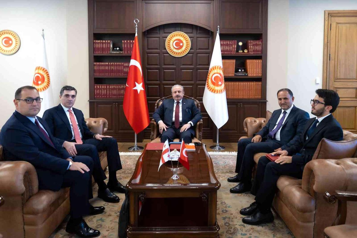 Şentop, Gürcistan Dışişleri Bakanını Kabul Etti