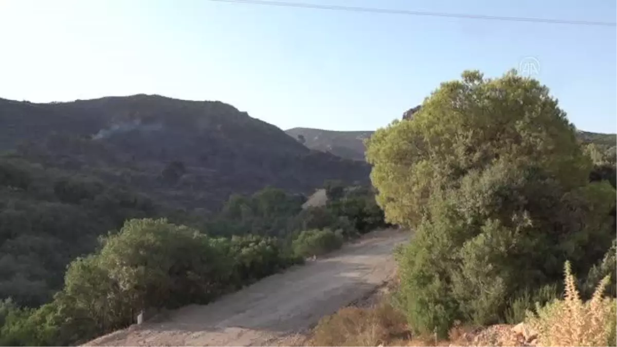 Tunus'taki orman yangını kontrol altına alındı