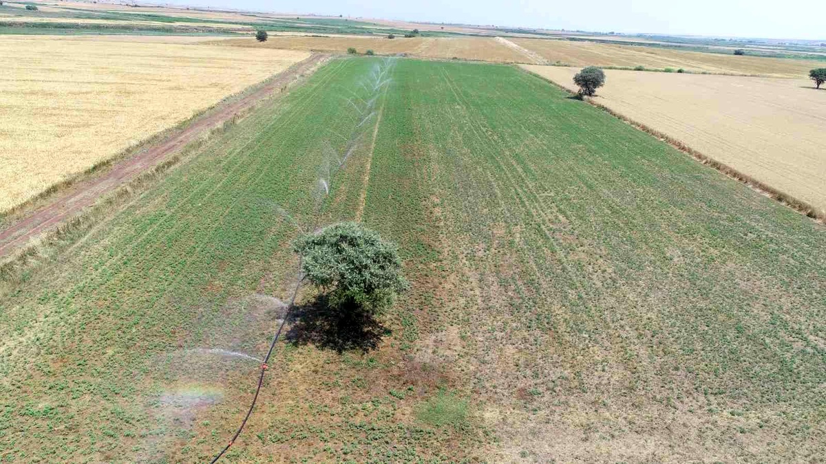 Çanakkale\'de 467 bin 100 dekar alanda sulama sezonu devam ediyor