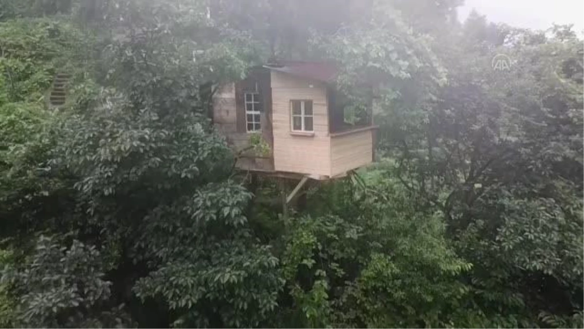 Dört ağacın gövdesine bağlı, yerden 20 metre yüksekte ev yaptı