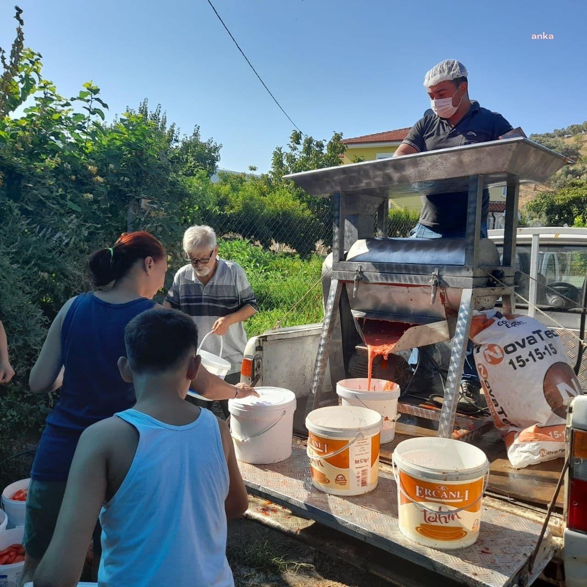Selçuk\'ta salça zamanı