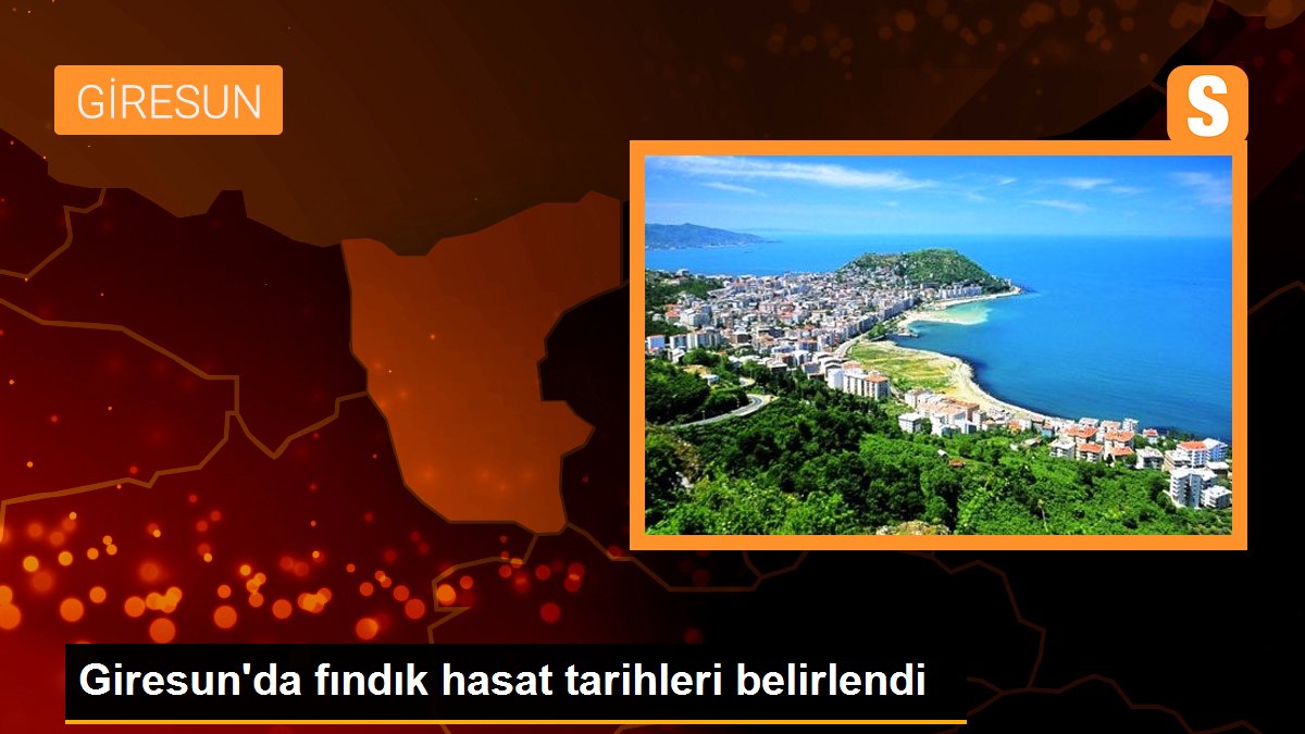 Giresun\'da fındık hasat tarihleri belirlendi