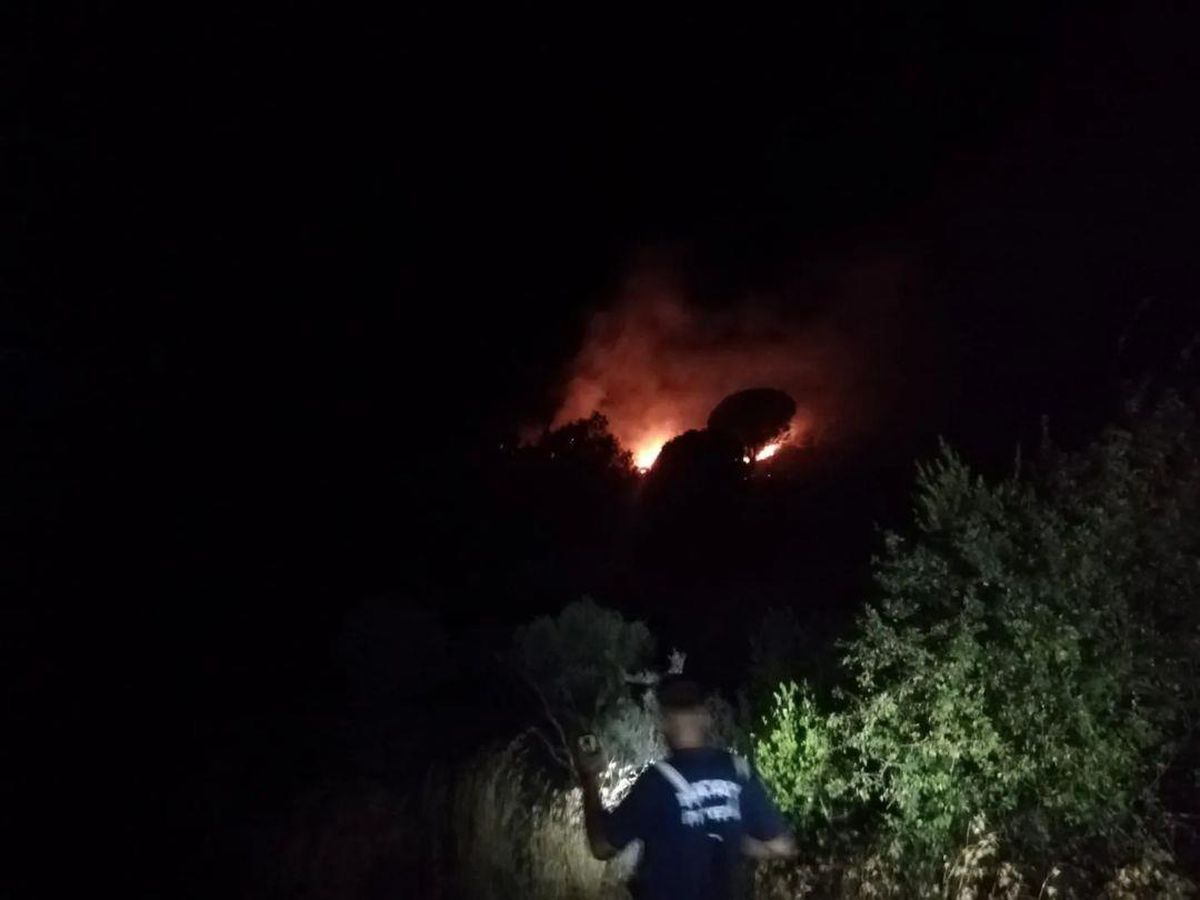 Hatay\'da ormanlık alanda çıkan yangın söndürüldü