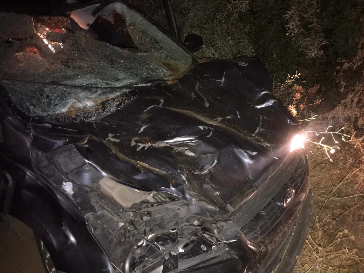 Kahramanmaraş\'ta trafik kazasında 1 kişi öldü, 2 kişi yaralandı