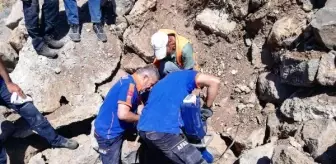 Kayalıklara sıkışan yavru köpekler, iş makinesi kullanılarak kurtarıldı