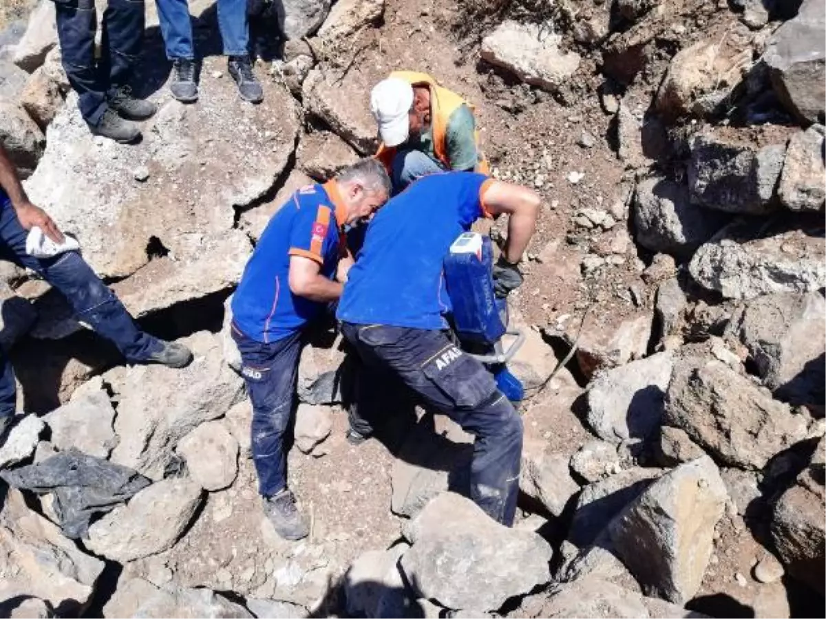 Kayalıklara sıkışan yavru köpekler, iş makinesi kullanılarak kurtarıldı