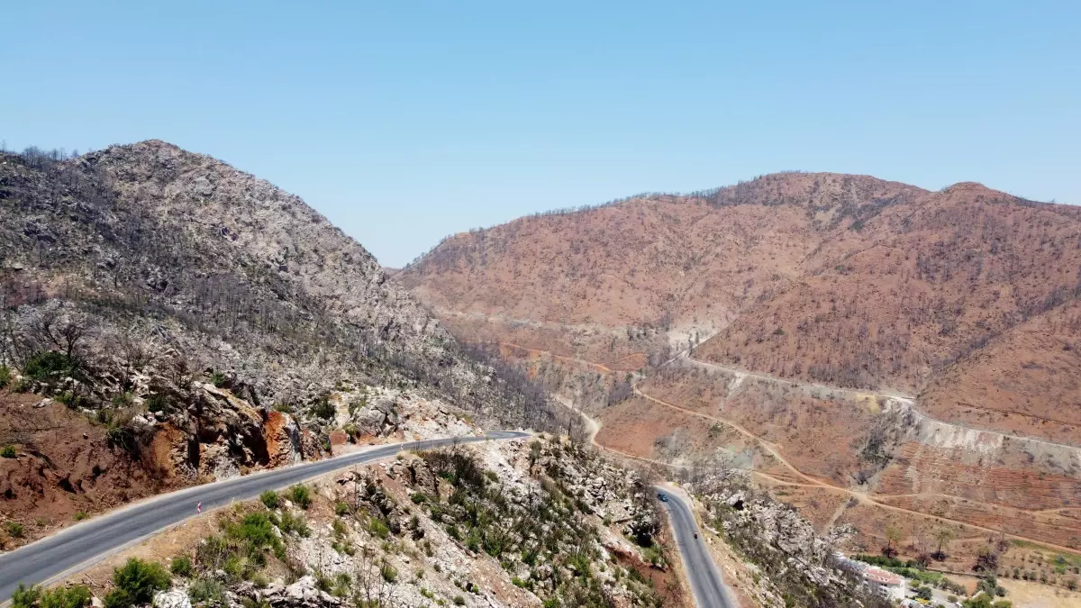 Marmaris yangınının üzerinden bir yıl geçti