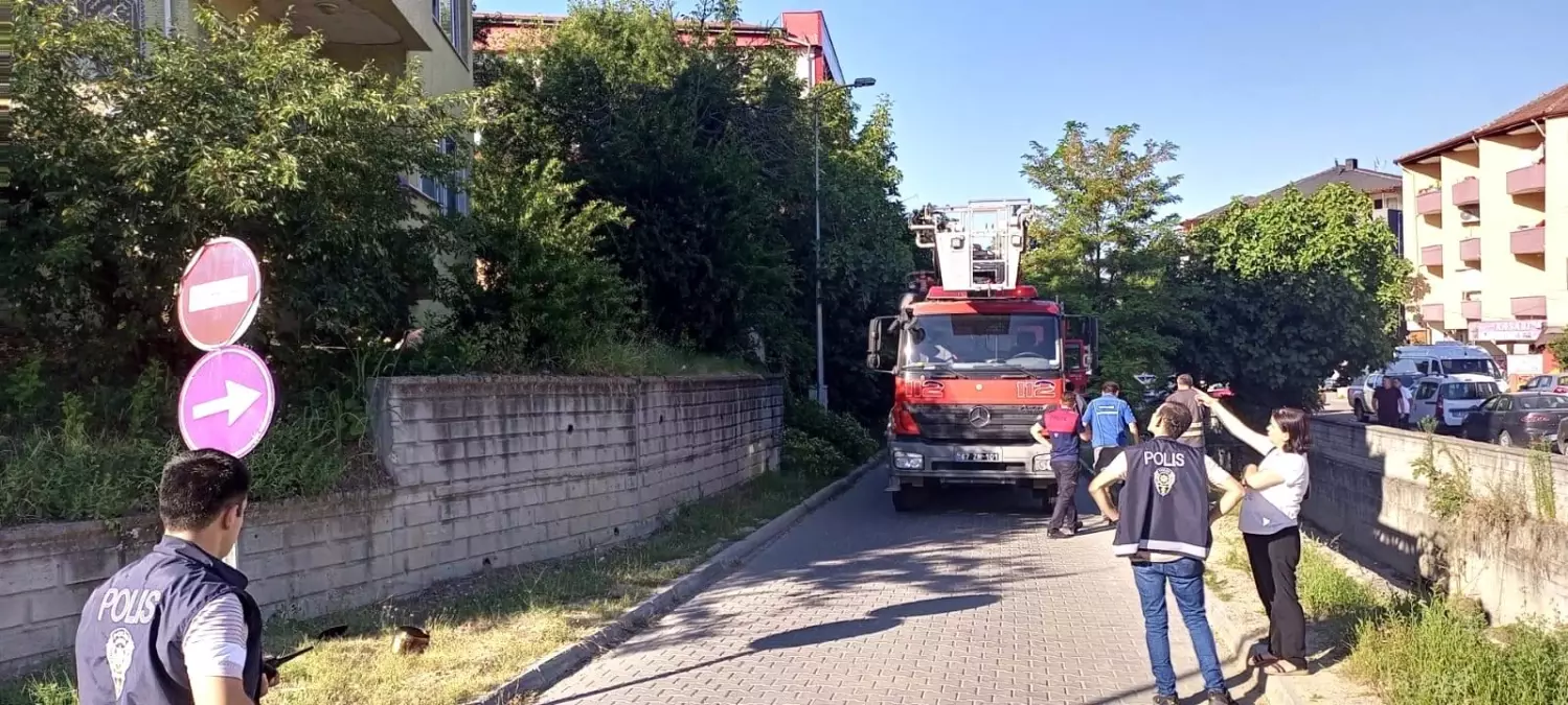 Ocakta unutulan düdüklü tencere mahalleliyi korkuttu