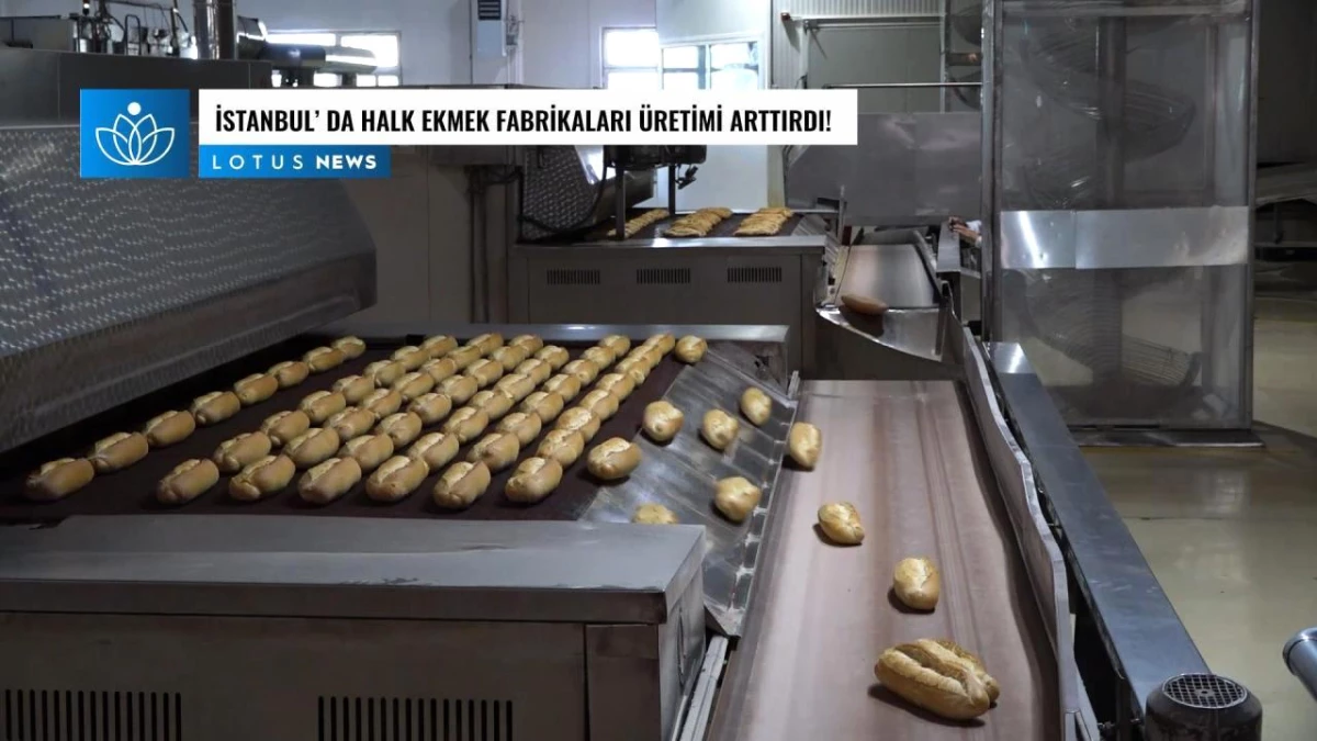 Video: İstanbul\'daki "Halk Ekmek" Fabrikaları, Artan Ekonomik Gıda Talebini Karşılamak İçin Üretimi Artırdı