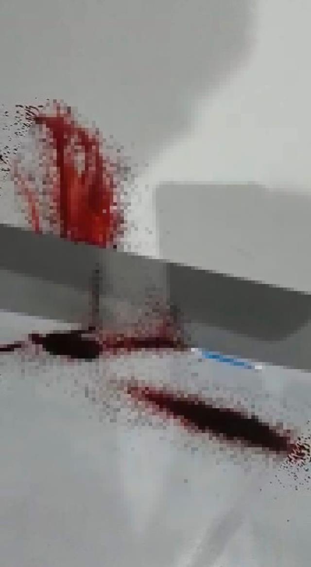 Yeni taşındıkları evin duvarlarından kan sızan aile, büyük panik yaşadı