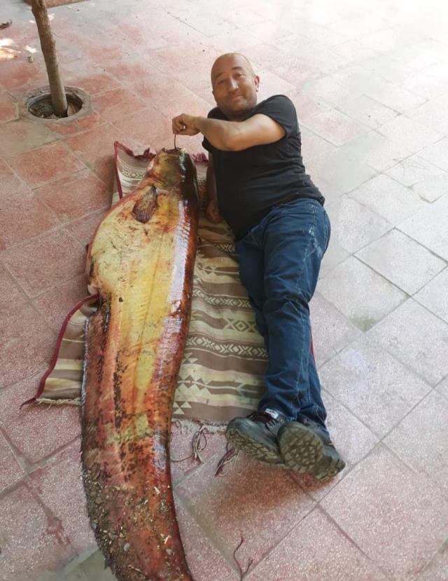 Amatör balıkçı barajda 80 kiloluk yayın balığı yakaladı
